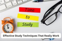Image of A guide to effective study delivery, research, and documentary