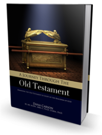 Image of A Journey through the old testament : with Amos as your guide