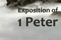 Image of An Exposition of 1 & 2nd Peter: Geneva series of commentaries