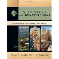 Image of Encouraging the New Testament: a historical and Theological survey