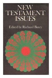 Image of New Testament Issues