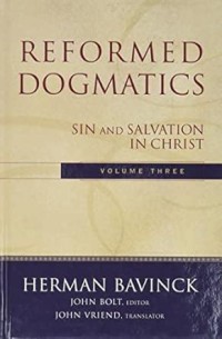 Image of Reformed Dogmatics: Sin and Salvation in Christ
