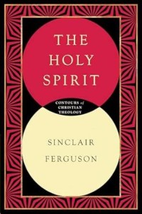 Image of The Holy Spirit: Contours of christian theology